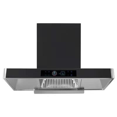 200W elettrostatica cappuccio macchina e olio di nebbia Purificatore Lampada nero Purificatore macchina