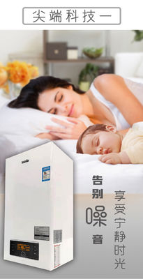 Caldaia a gas a parete per il riscaldamento del soggiorno