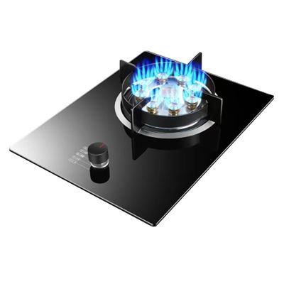 1 stufa a gas in acciaio inossidabile per cucina a doppia pentola