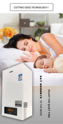 Caldaia a gas a parete da 24 kW per riscaldamento domestico senza serbatoio Caldaia acqua a gas istantanea