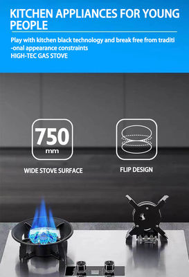 Forno a gas per ristorante