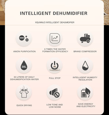 Stampa su telaio di seta Assorbente di umidità per la casa Luftentfeuchter per tutta la casa Soluzione