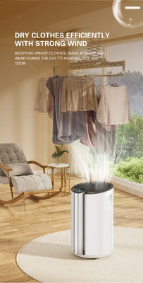 Stampa su telaio di seta Assorbente di umidità per la casa Luftentfeuchter per tutta la casa Soluzione