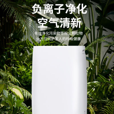 Controllo remoto Desiccant Dehumidifier con Purificatore d'aria Controllo piccolo e umidità