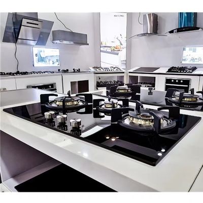 Forno a gas a combustione elettronica 5 per apparecchi privati a gas da muffa