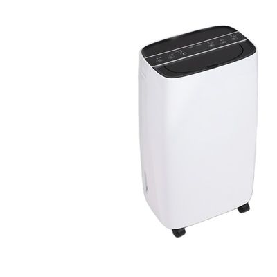 Home Dehumidificatore elettrico con depuratore d'aria 11KG 30L capacità di deumidificazione