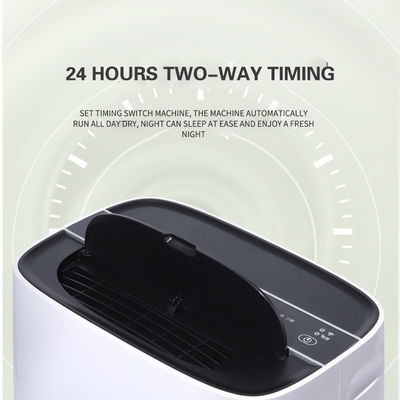 Home Dehumidificatore elettrico con depuratore d'aria 11KG 30L capacità di deumidificazione