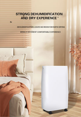 Home Dehumidificatore elettrico con depuratore d'aria 11KG 30L capacità di deumidificazione