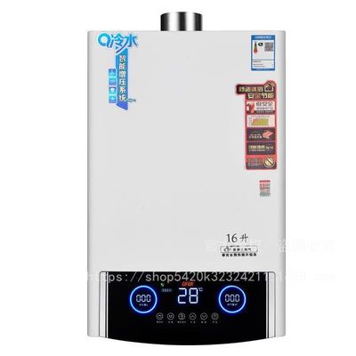 Fonte di alimentazione Scaldabagno esterno a gas per camper a temperatura costante e acqua calda