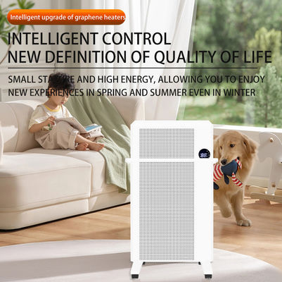 Sperimenta la potenza del riscaldamento al mica graphene 1600W riscaldatore a pannello a infrarossi montato a parete