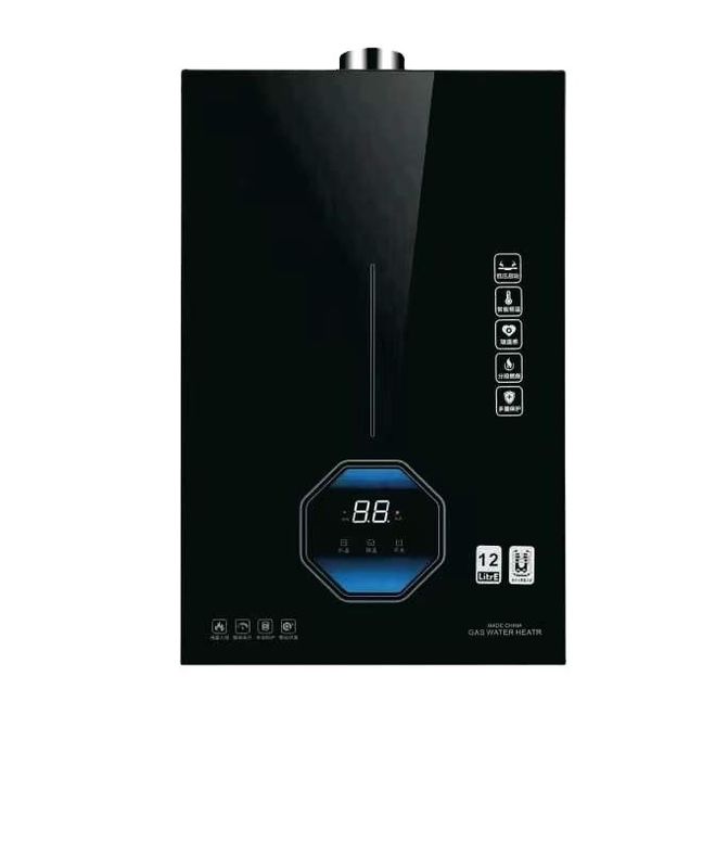 Scaldabagno per auto a gas 8L/10L/12L/16L GPL/GNL propano istantaneo senza serbatoio per riscaldamento domestico